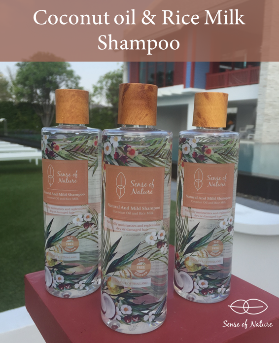 แชมพสูตรน้ำมันมะพร้าวและน้ำนมข้าว (Natural and Mild Shampoo)